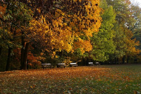 letohradek-a-obora-hvezda